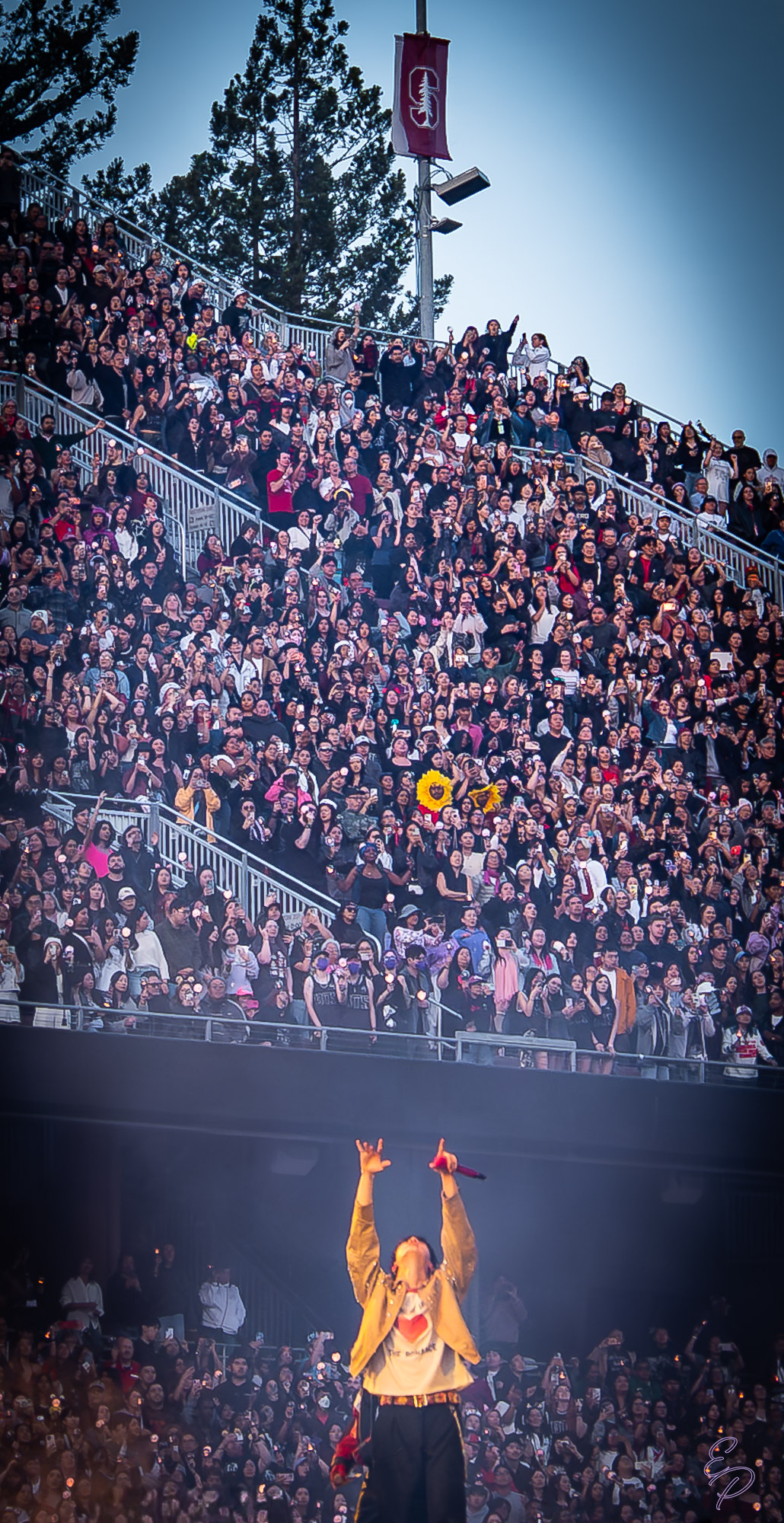 Concerts & Live Events